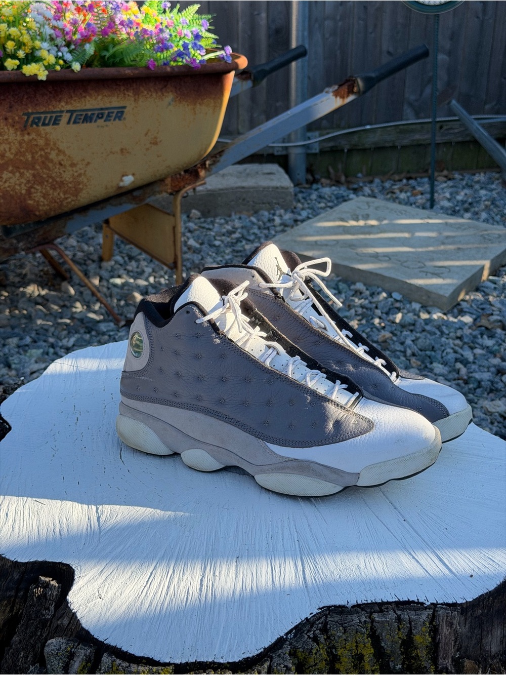 Jordan 13